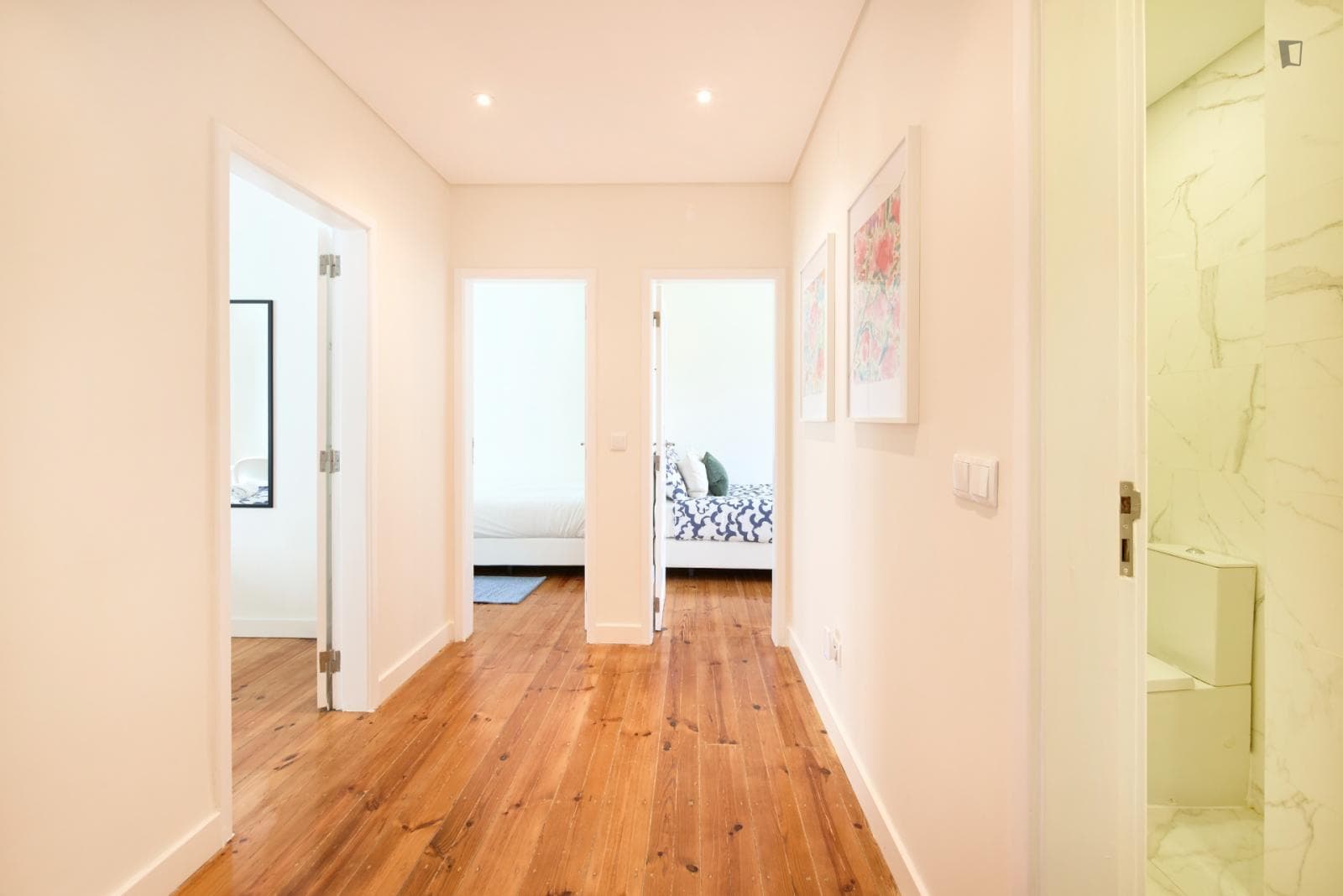 Lovely double bedroom in Alvalade photo 1