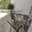 preload