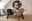 preload