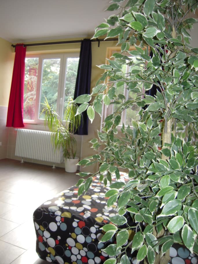 Property photo thumbnail