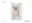 preload