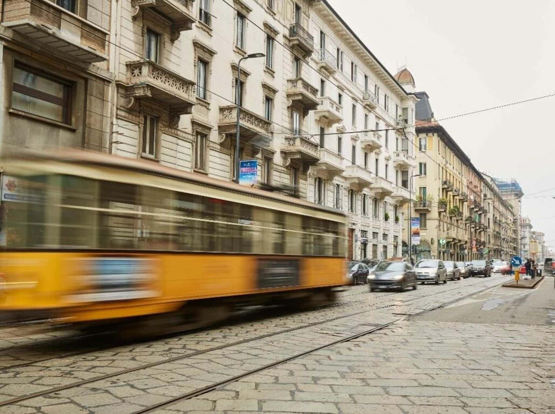 Settembrini photo 1