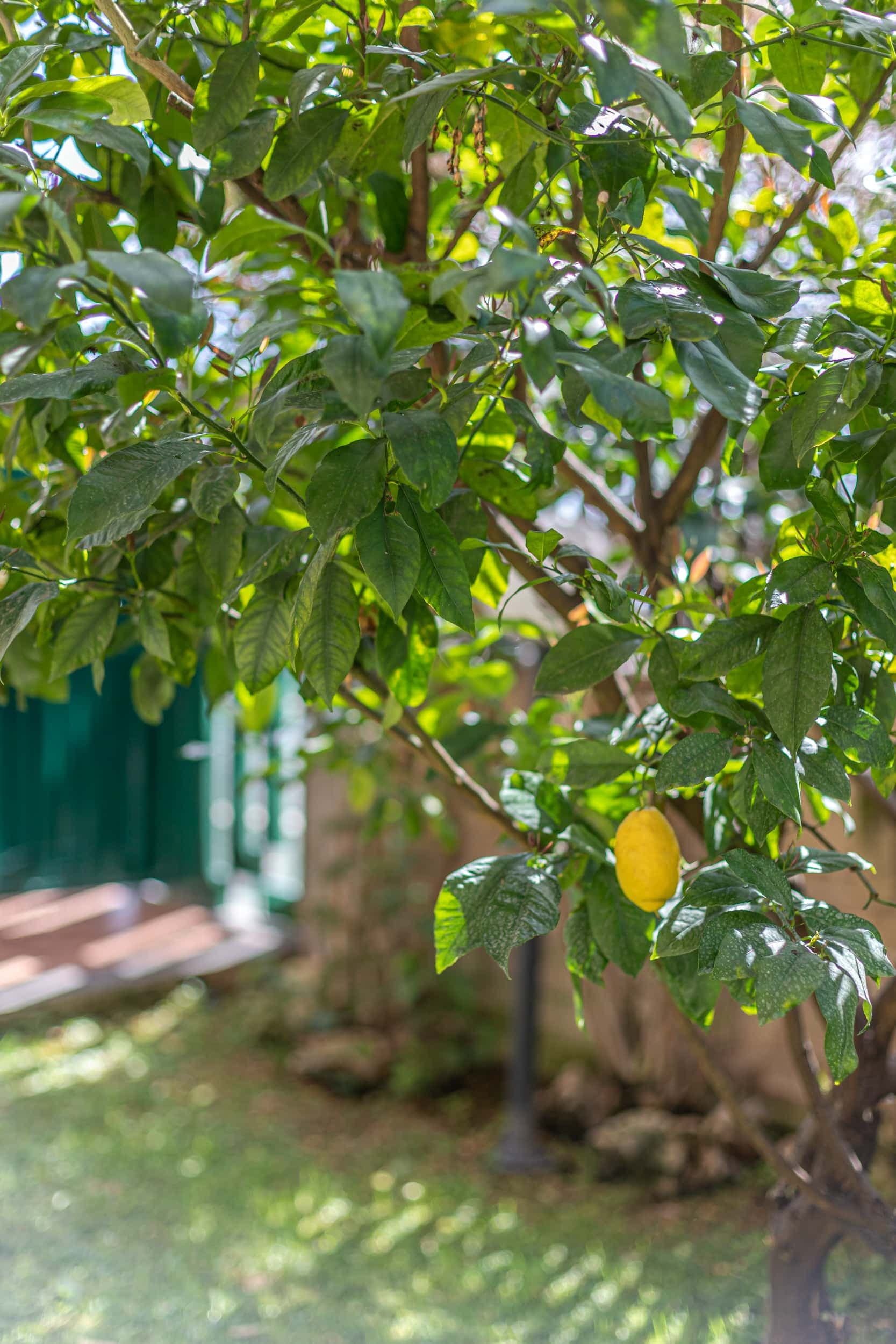 Property photo thumbnail