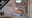 preload