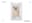 preload