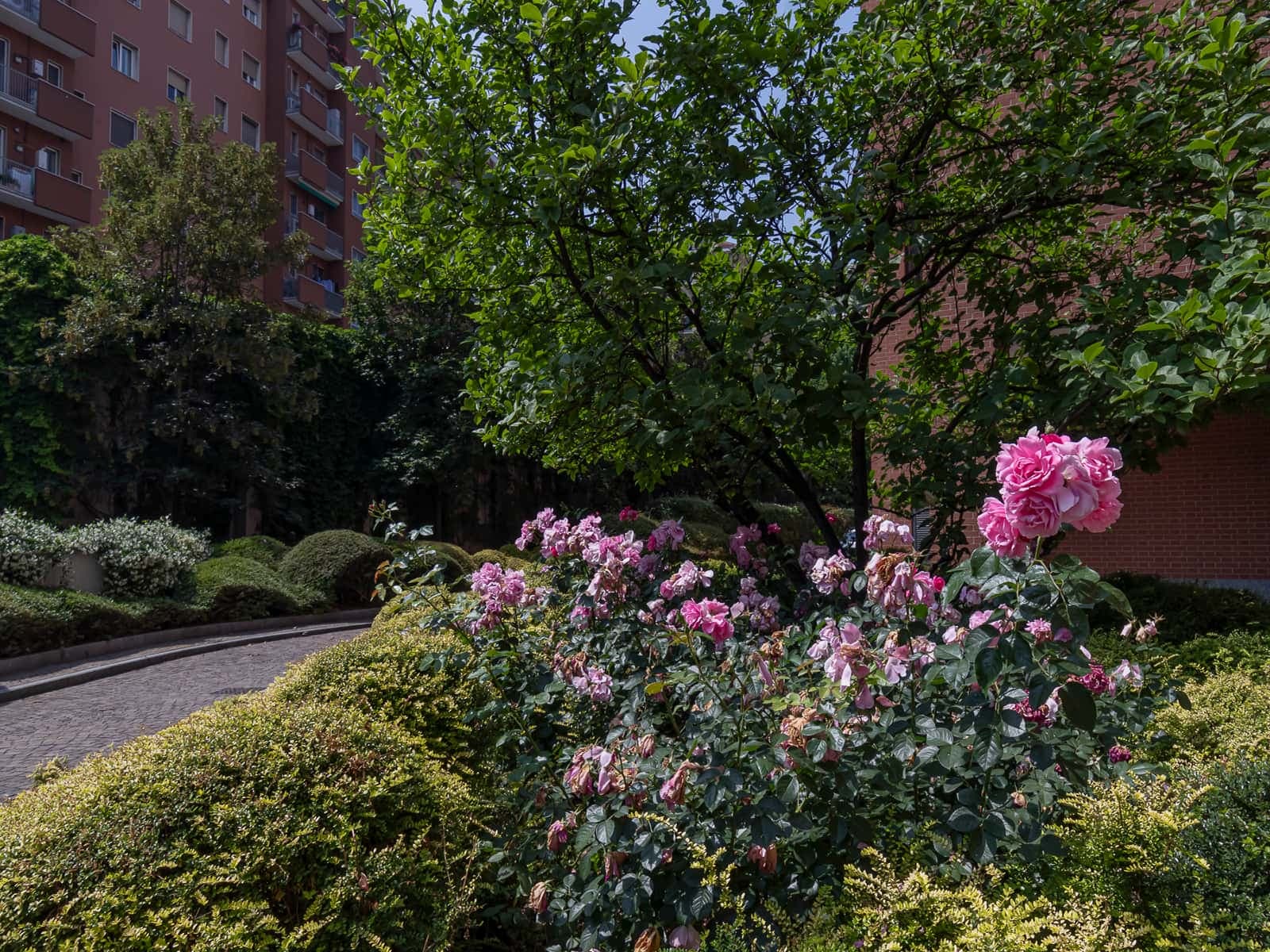 Property photo thumbnail