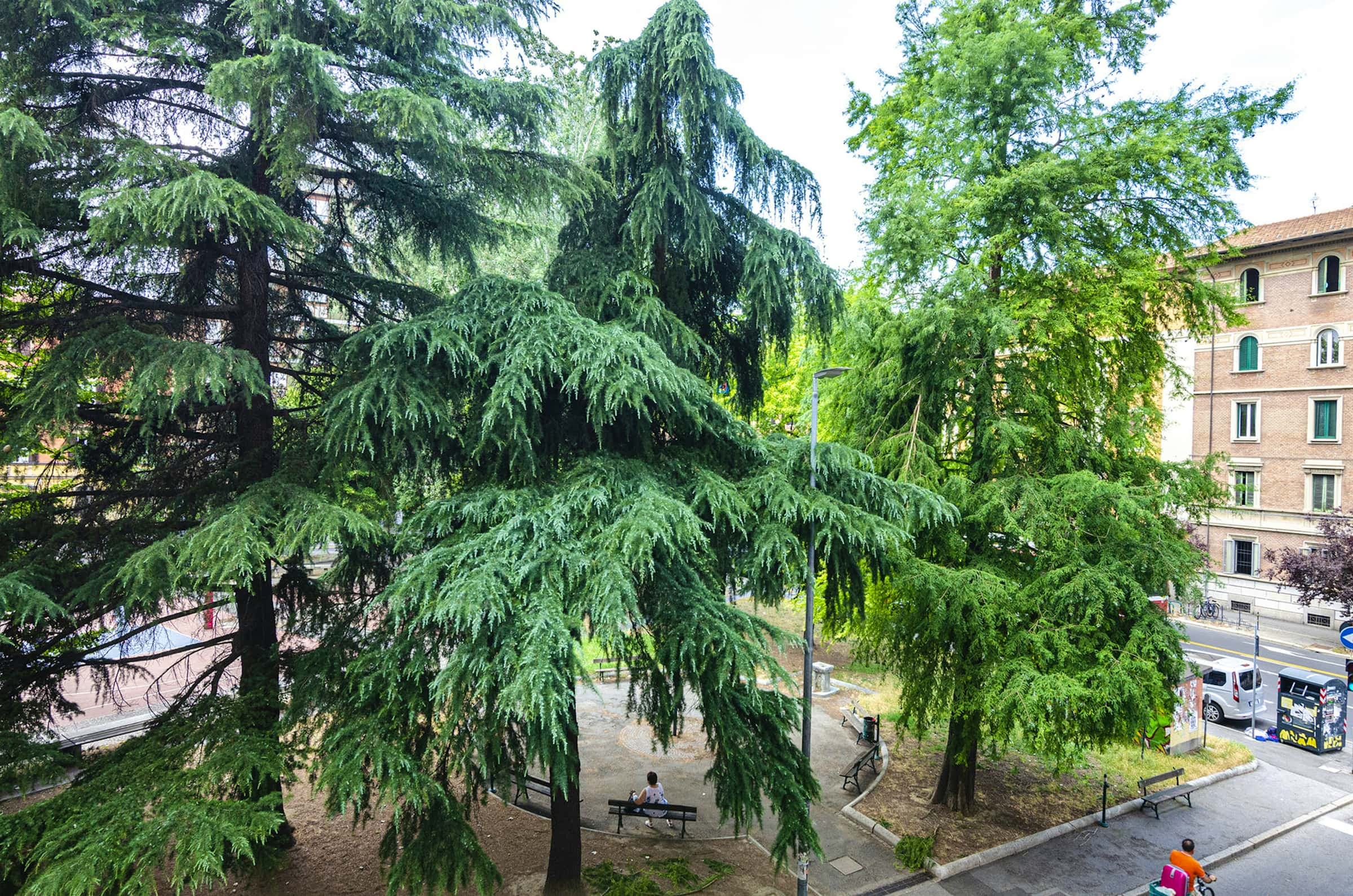 Piazza dell'Unità photo 1