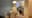 preload