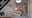 preload