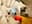 preload