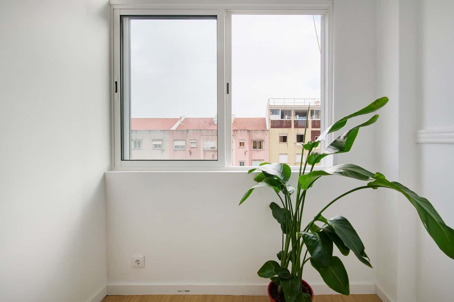 Room 6 - 64. Calçada Tapada 29 2E photo 1