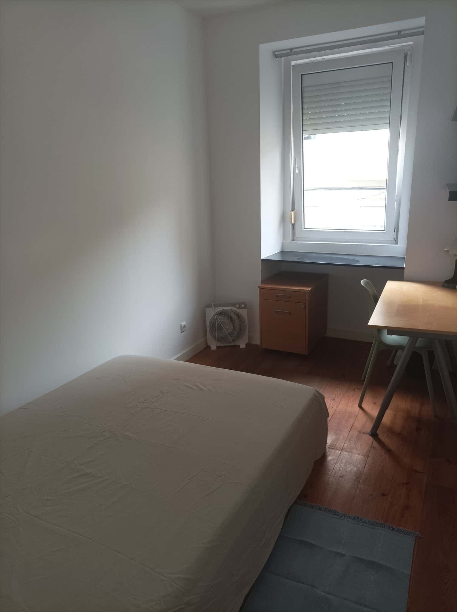 Single Room - FLAT Z - Z02 photo 1