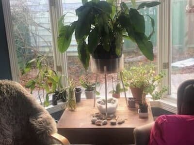 Property photo thumbnail
