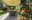 preload
