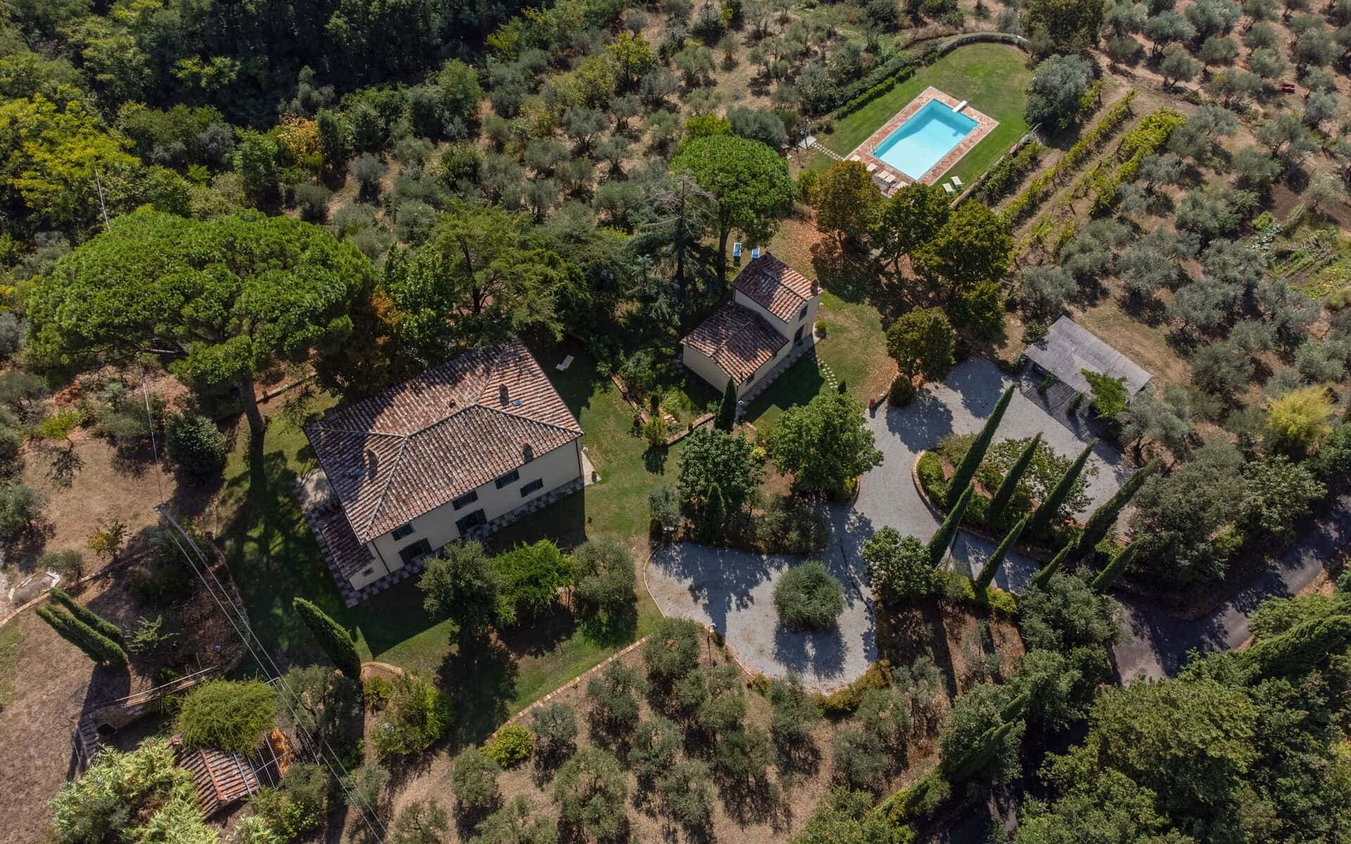 Villa San Pietro photo 1