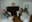 preload