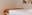 preload