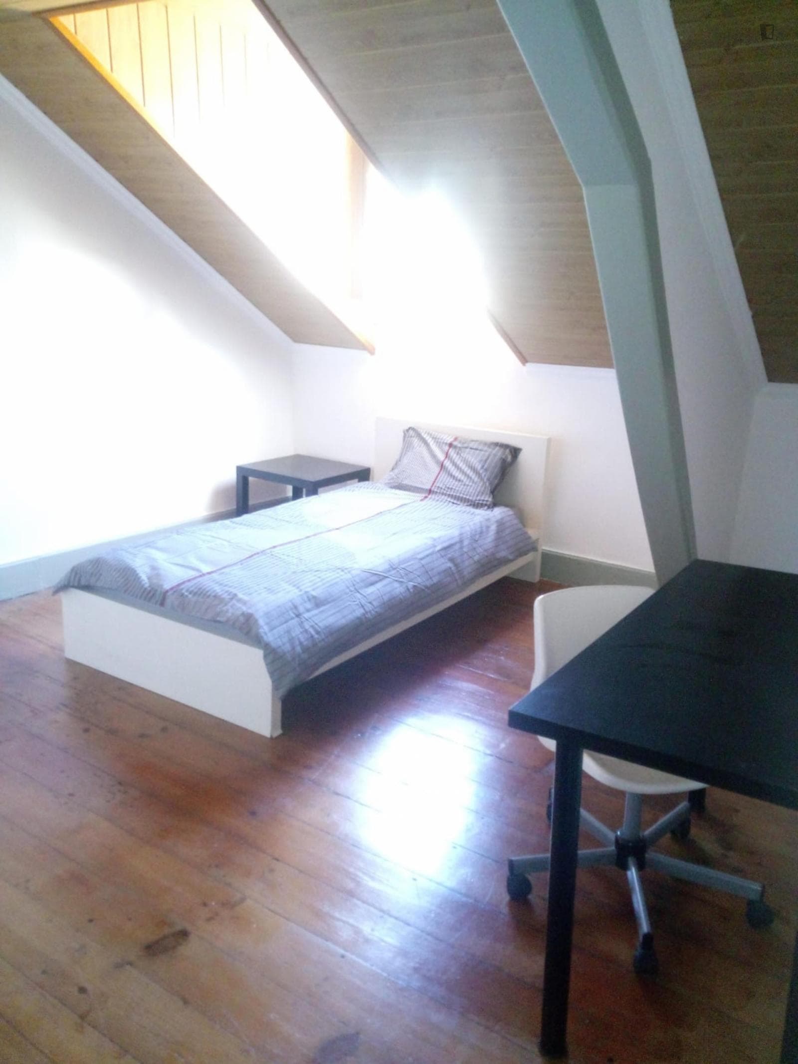 Lovely single bedroom in Combatentes  photo 1