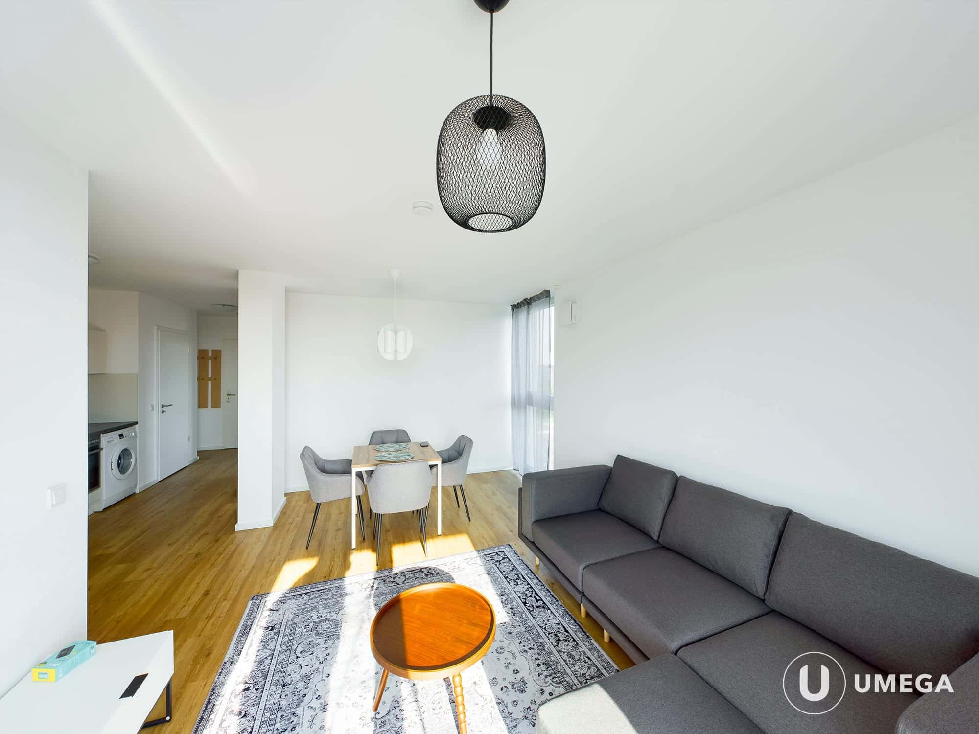 Reduced Rent -  Furnished 2 room apartment with fitted kitchen, elevator and balcony photo 1