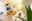 preload
