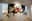 preload