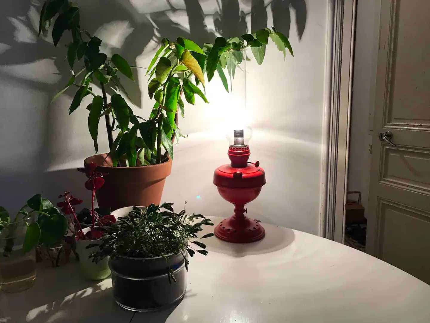 Property photo thumbnail