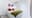 preload