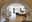 preload