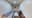 preload
