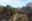 preload