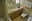 preload