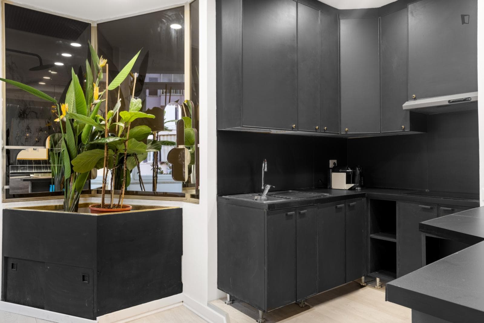 Lovely 1-bedroom flat in Prati photo 1