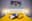 preload
