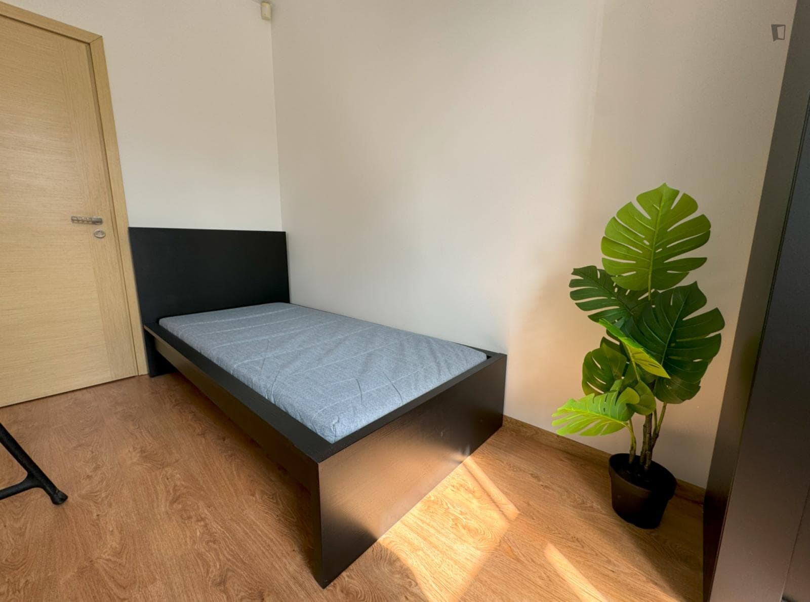 Bright single bedroom in nice shared flat near tram stops in Latgale photo 1