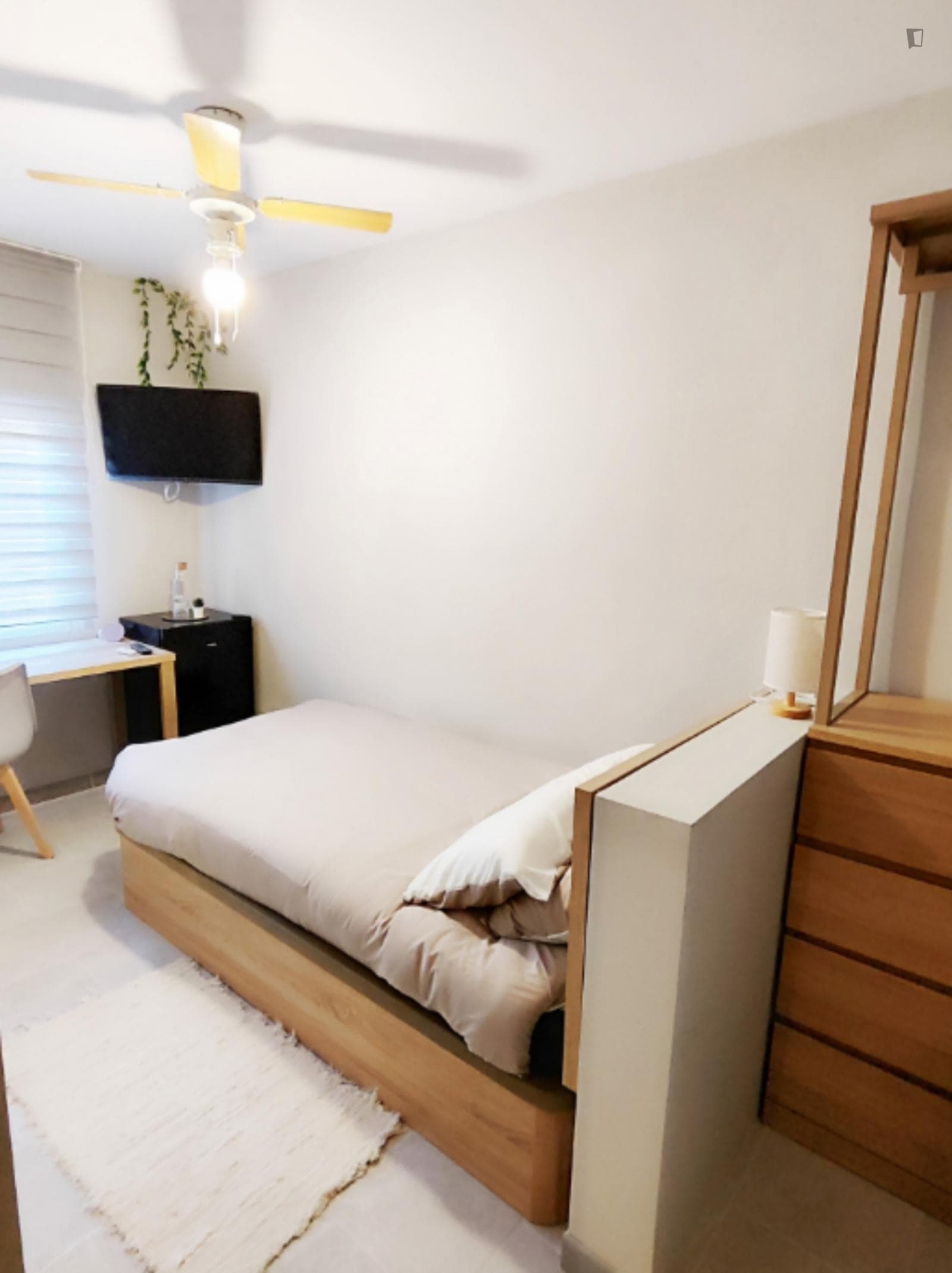 Adorable Single Bedroom close to University General Hospital Dr. Balmis photo 1