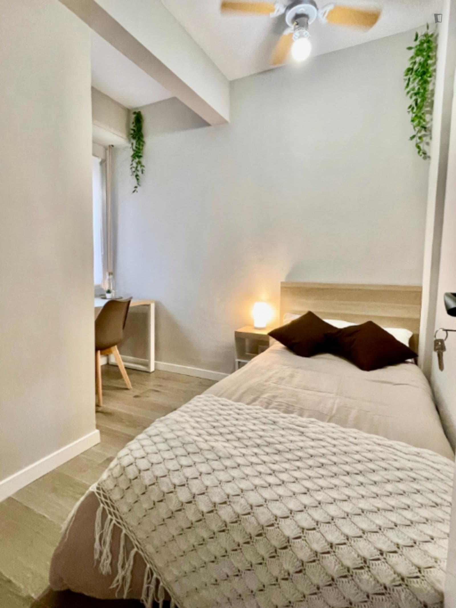 Comfy Single Bedroom close to University General Hospital Dr. Balmis photo 1