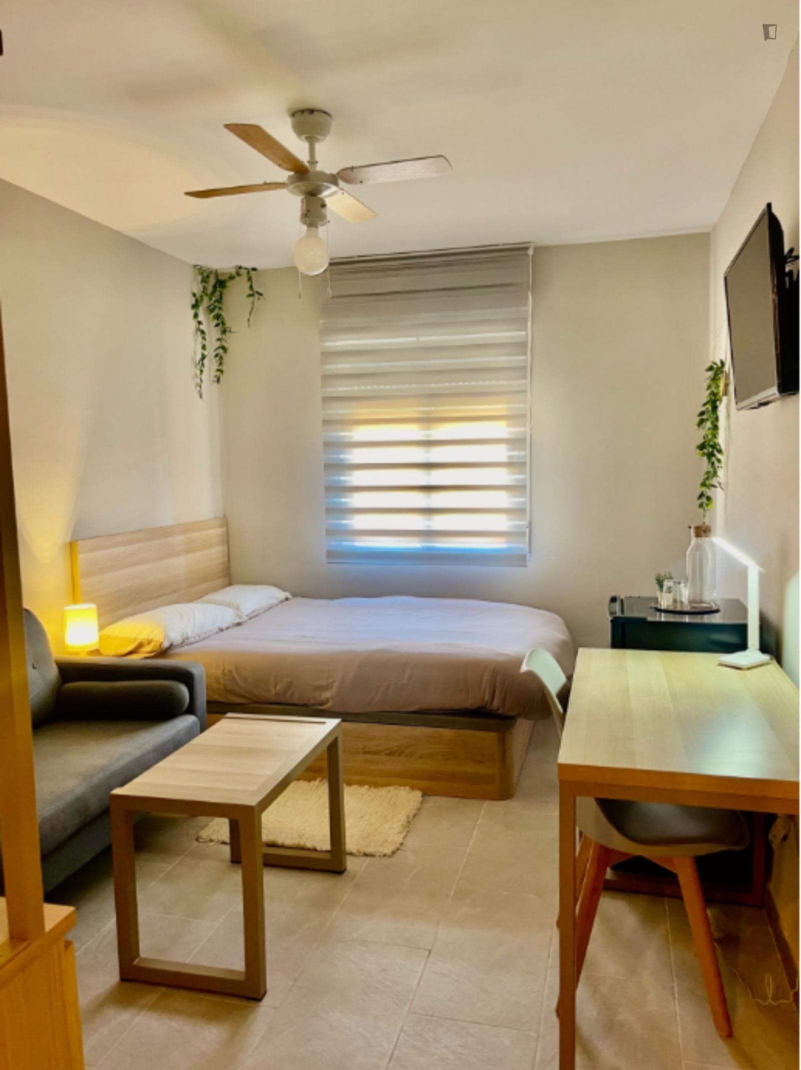 Inspiring Single Bedroom close to University General Hospital Dr. Balmis photo 1