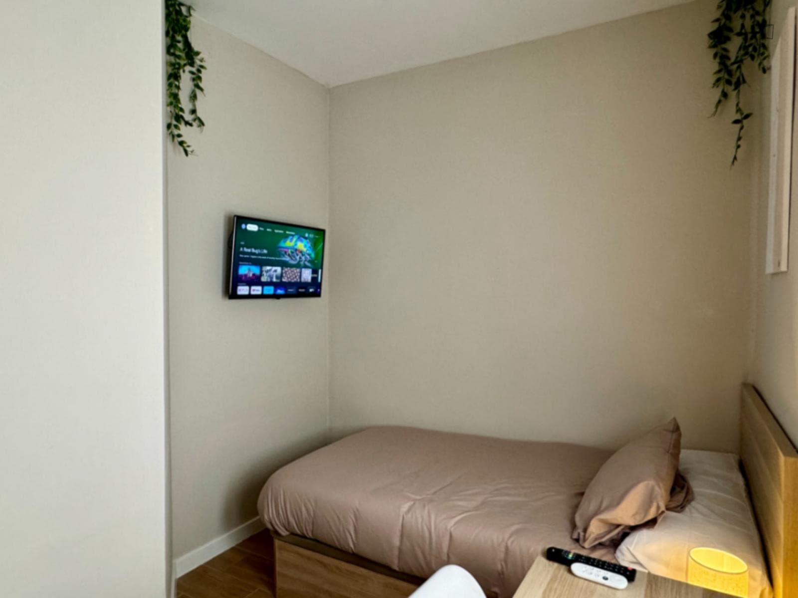 Essential Single Bedroom close to José Rico Pérez Stadium photo 1