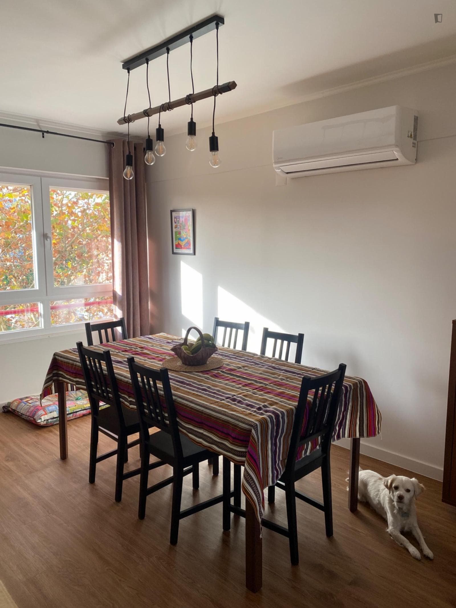 Delightful Single Bedroom close to Telheiras Metro photo 1