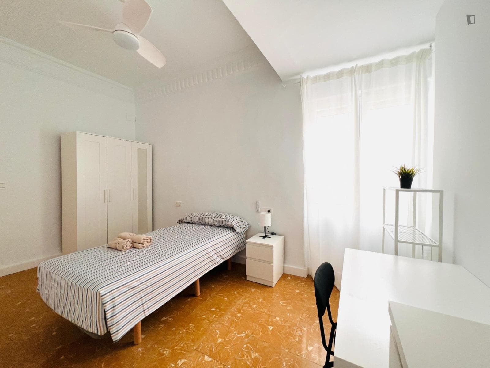 Cozy Single Bedroom close to Murcia Catholic Cathedral photo 1