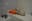 preload