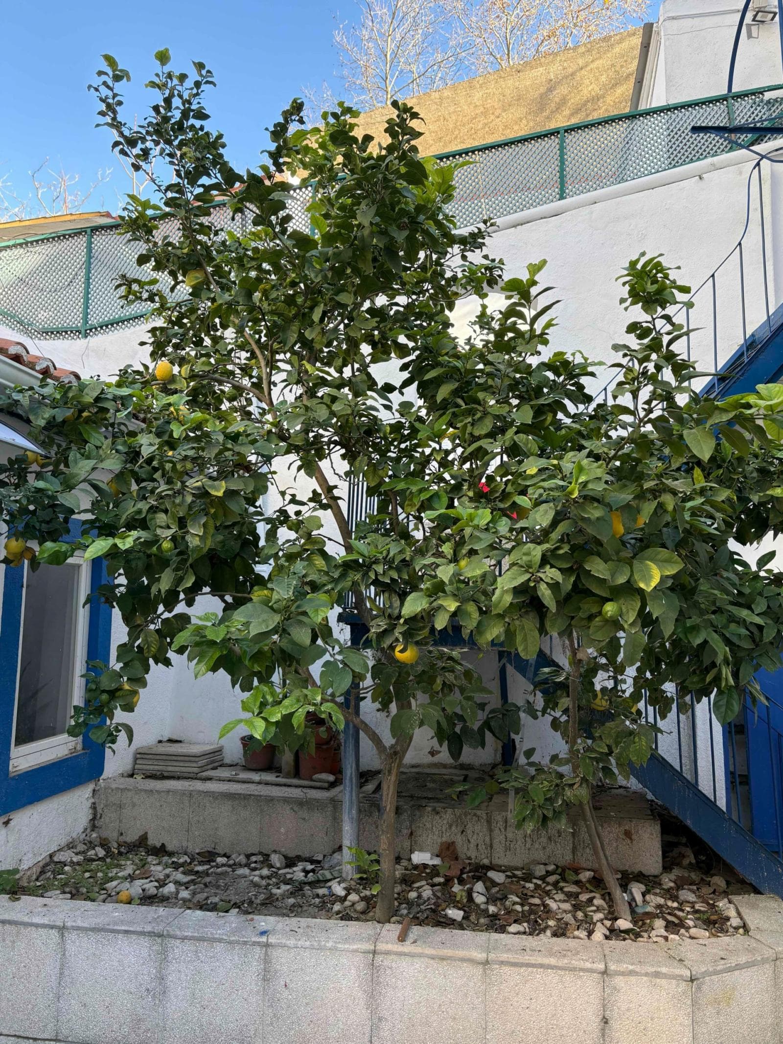 Property photo thumbnail