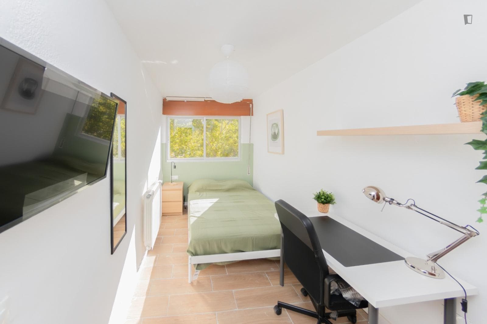 Great looking single bedroom photo 1