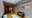 preload