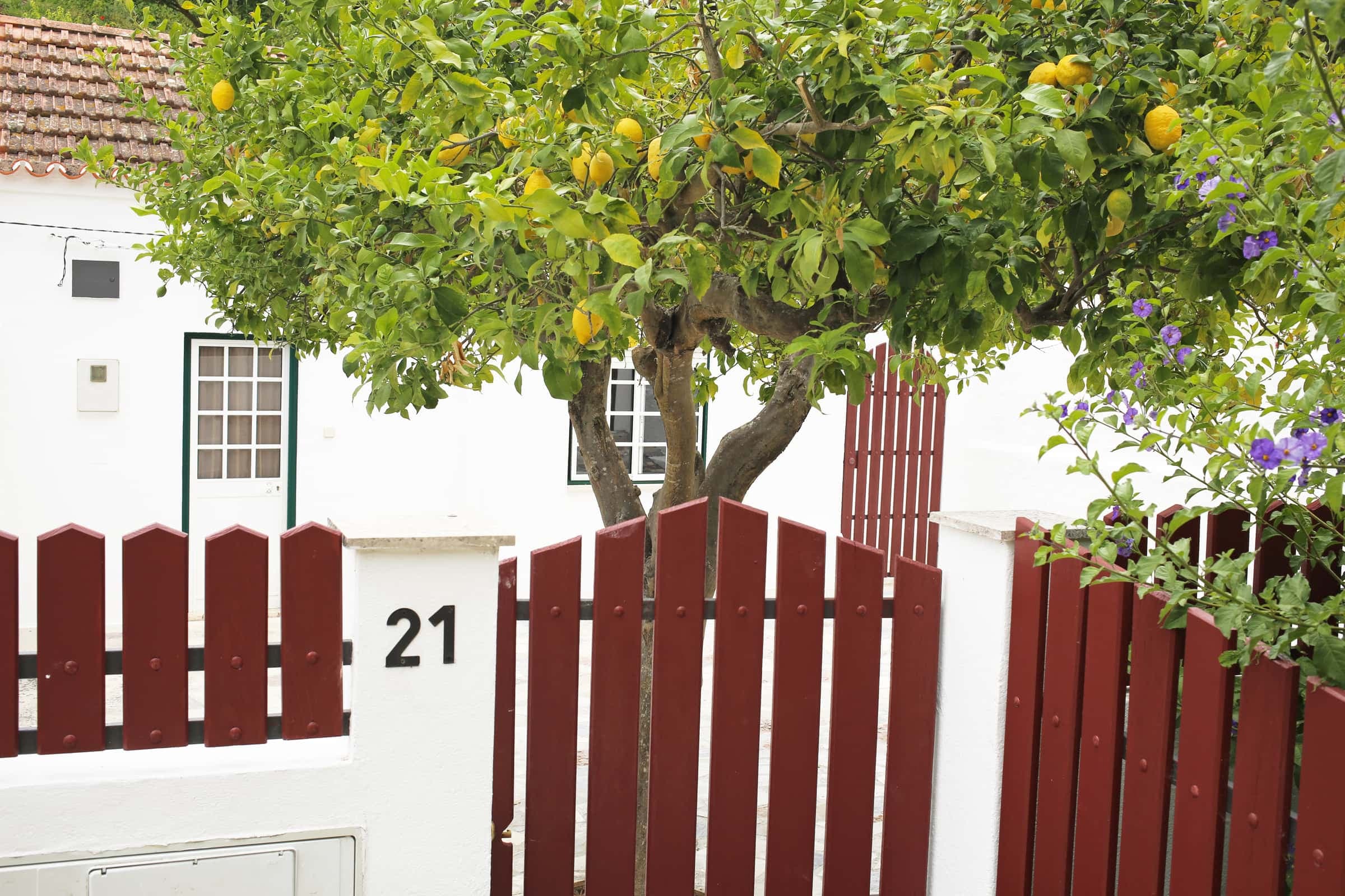Property photo thumbnail