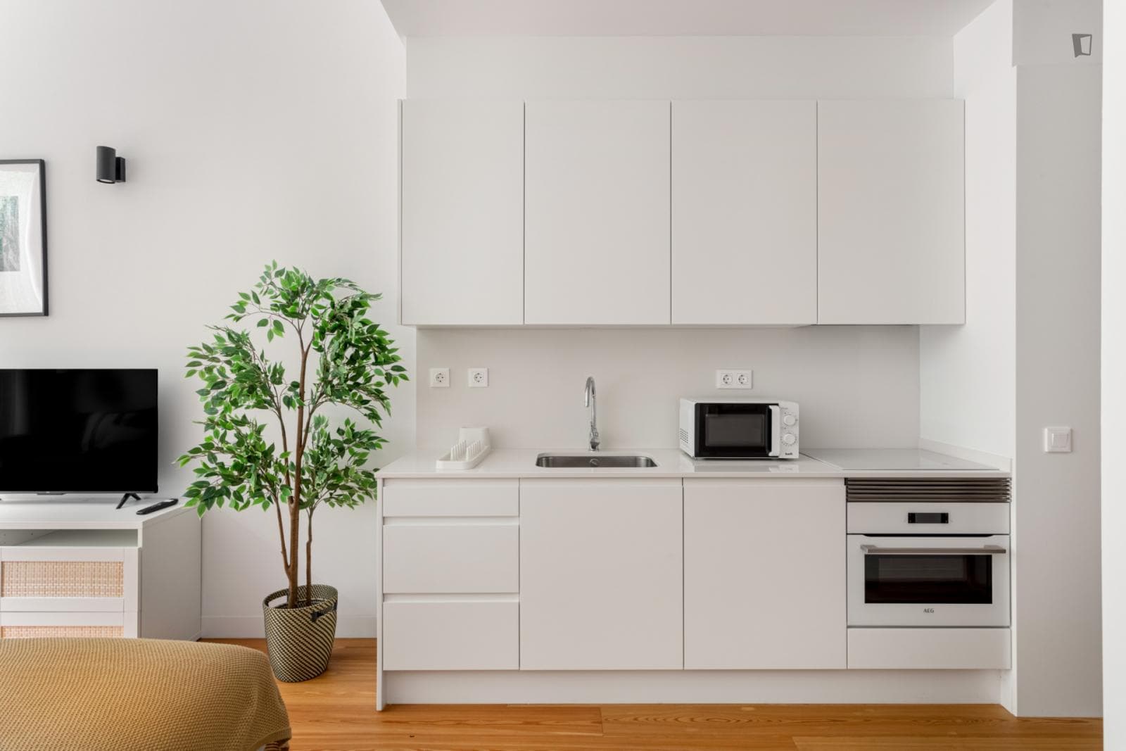 Attractive studio in Saldanha photo 1