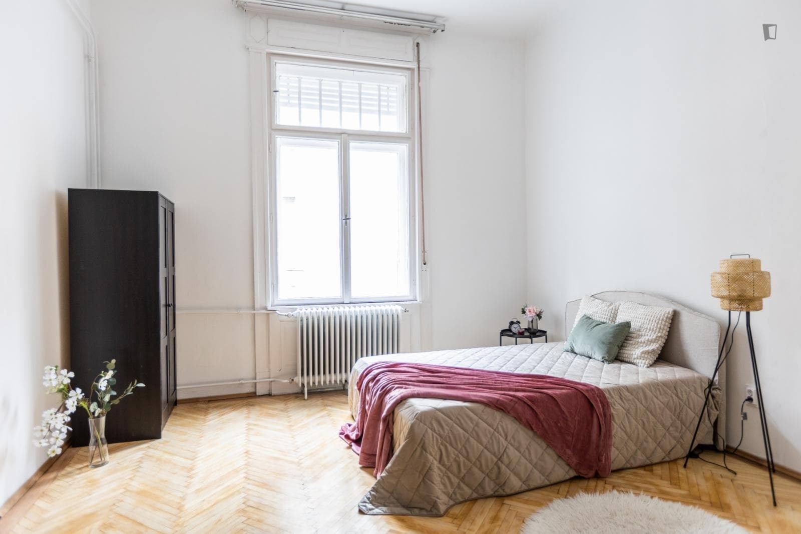 Charming single bedroom near the Ferenciek tere metro station photo 1