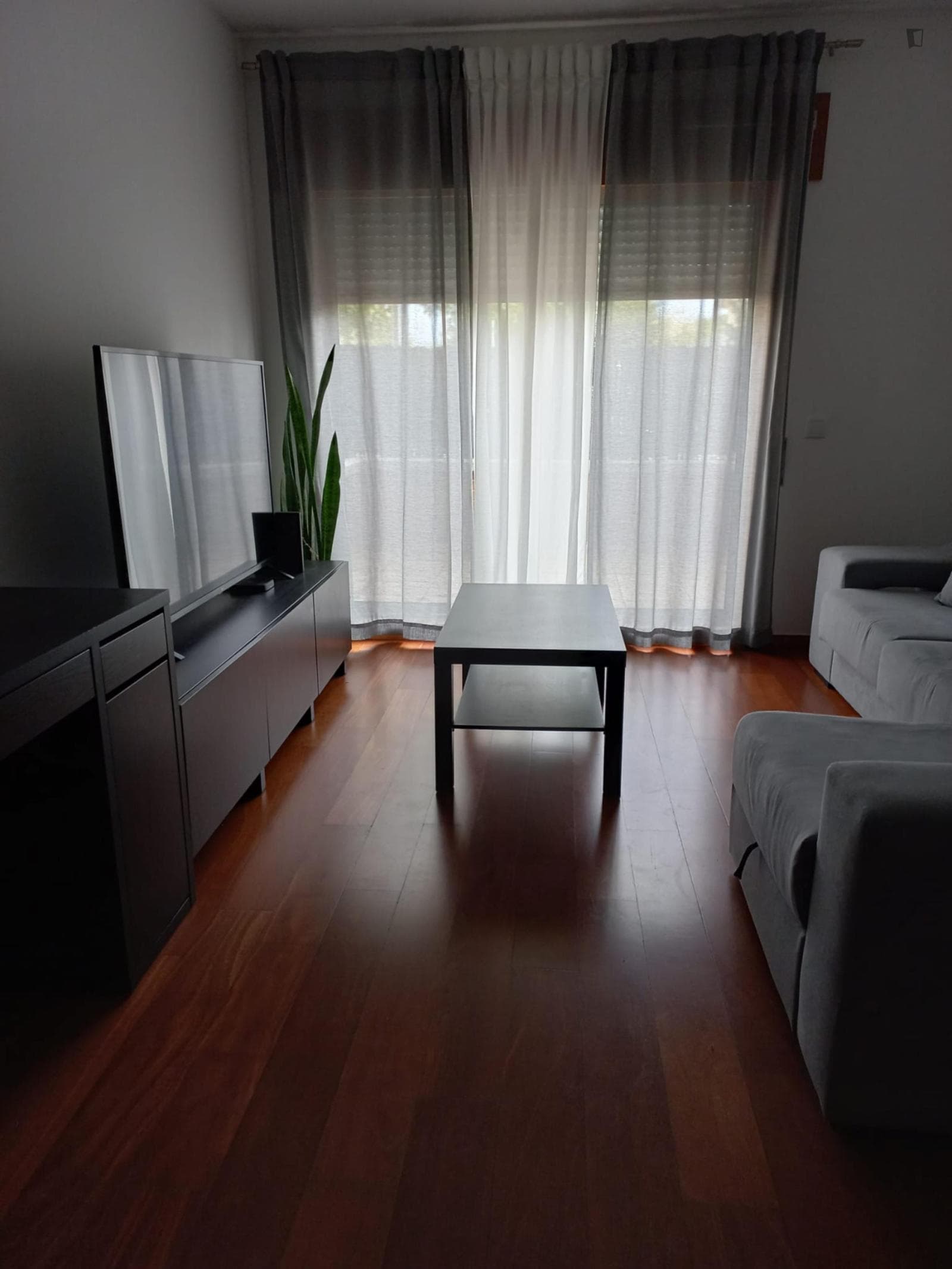 Charming 1-bedroom flat in Matosinhos photo 1