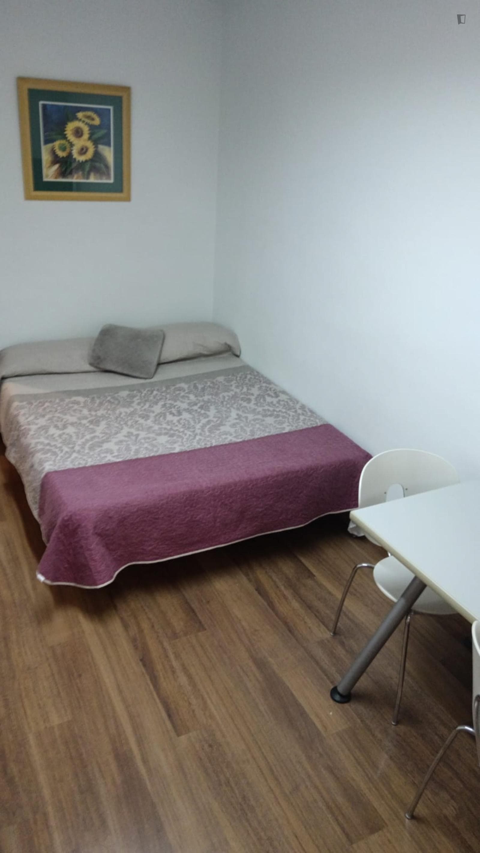 Spacious single bedroom in shared flat near the Universidad de Murcia: Campus de la Merced photo 1