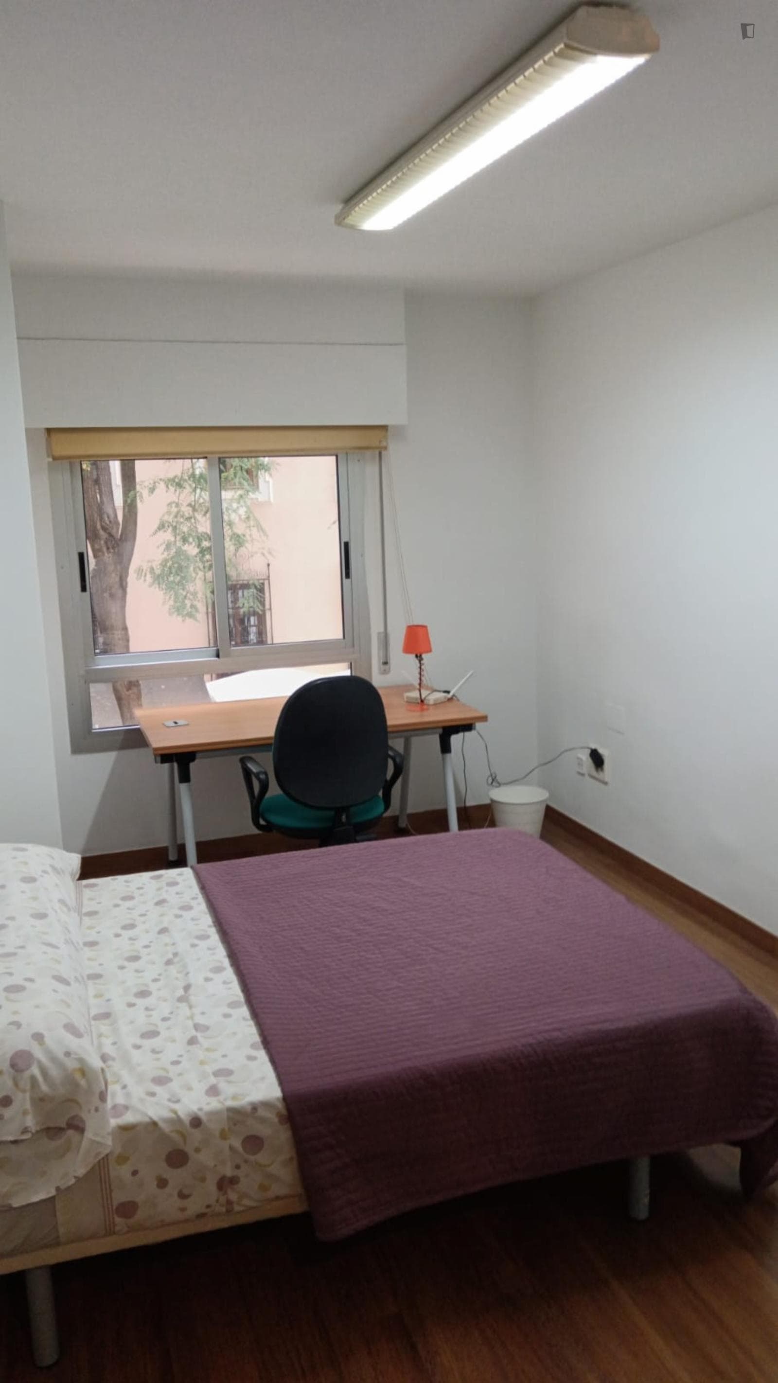 Nice single bedroom in a shared flat near the Universidad de Murcia: Campus de la Merced photo 1